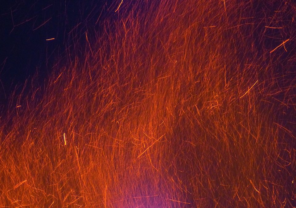 Dinas Damkar Kota Serang Hapus Sarang Tawon di Terminal